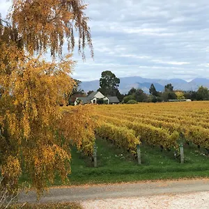 Vineyard In On The Golden Mile Lodge